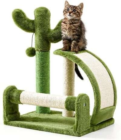 Cactus Cat Scratcher for Indoor Small Cats