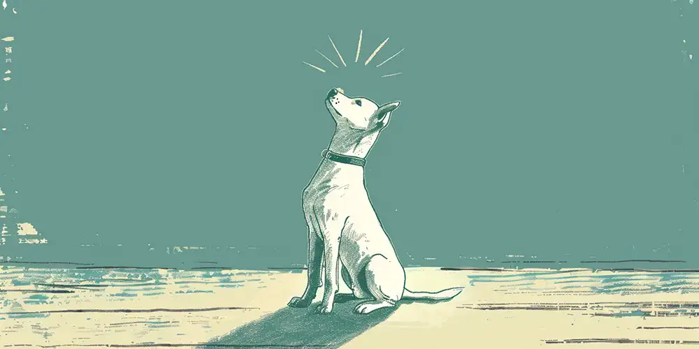 Doga conclusion