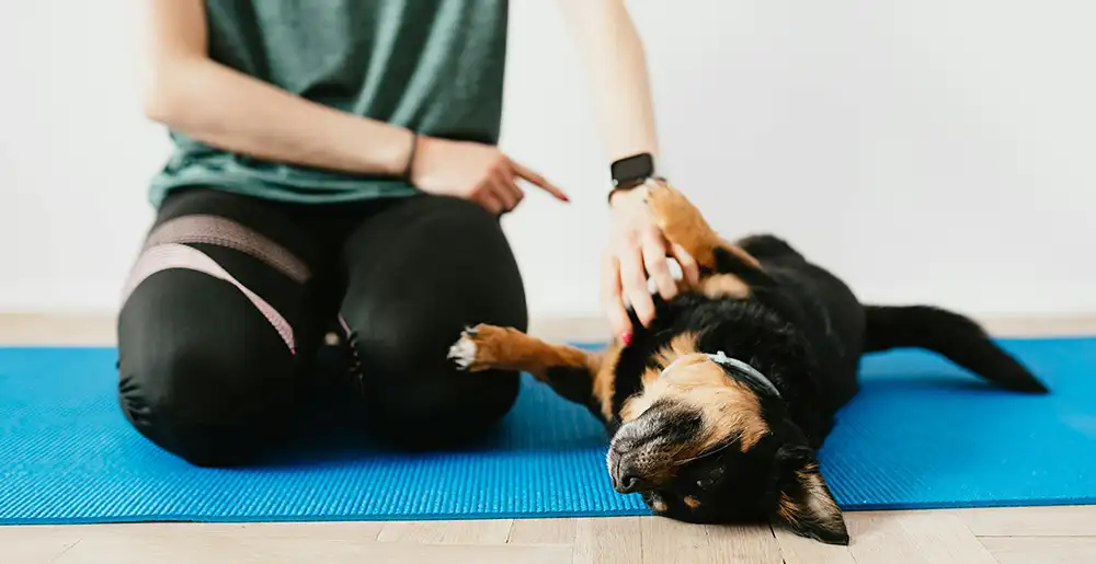 doga dog and yoga