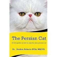 Persian cat guide